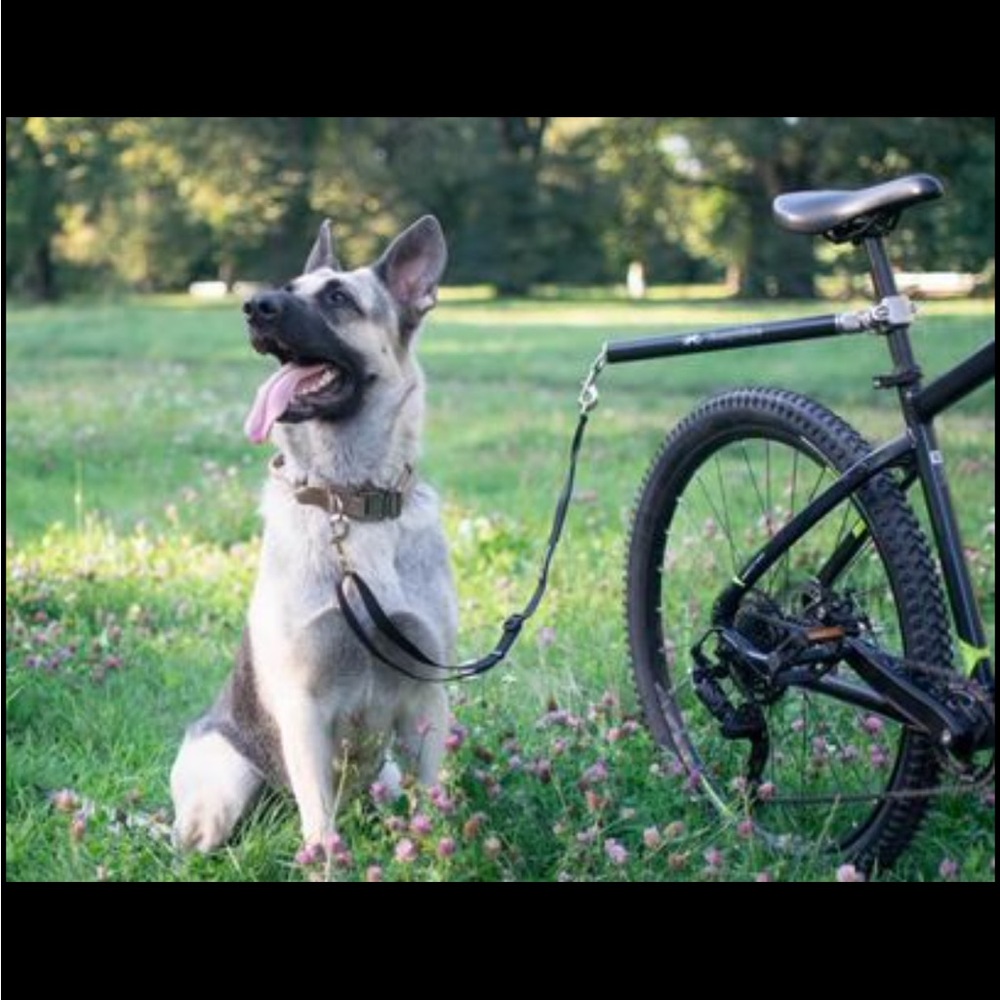 Rotating Dog Bike Leash - with Shock Absorbers and Quick Attach Mechanism